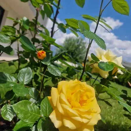 Bergblick Appartamento